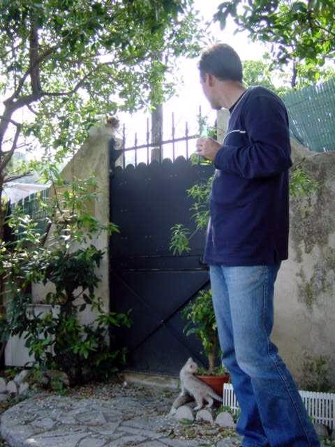 Jacky Chan perched near the gate, Emu at the bottom at the gate, Stephane watching