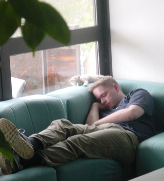 Emu and ksh asleep
