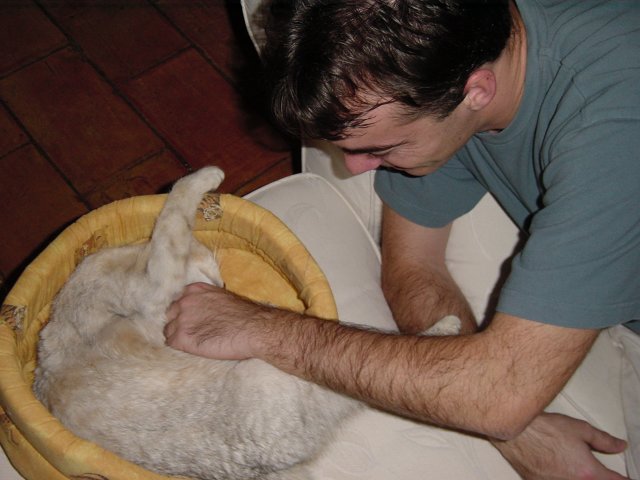 Steph stroking the cat