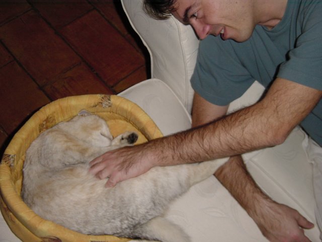 Steph annoying the cat