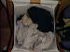 Emu making herself comfortable in the laundry basket