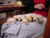 Emu sound asleep,  holding an empty bottle of beer between the front paws