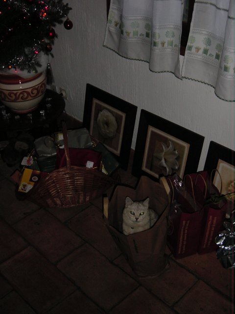 Emu sitting in a large brown paper bag near the christmas tree and presents