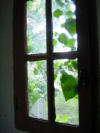 La petite fenetre depuis "le bassin" (ancien bassin converti en remise)