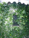 "le bassin" ancien bassin converti en remise