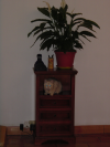 Le meuble a telephone (et a chat!)