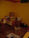 Vue du fond du bureau: bureau 2, caisse et gamelles a chat, chat, cartons