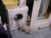Vue depuis la baignoire sur le chat devant la machine a laver