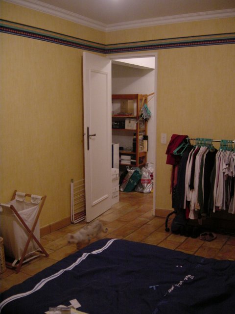 Vue depuis le fond de la chambre: lit, panier a linge, chat, porte donnant sur un hall, portant a coco