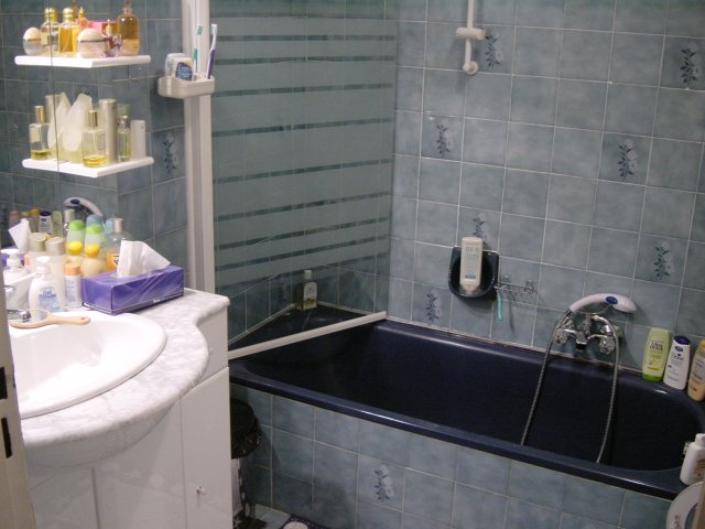Salle de bain: lavabo et baignoire