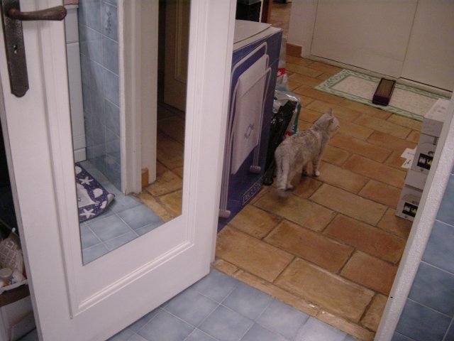 Vue depuis la salle de bain sur le hall