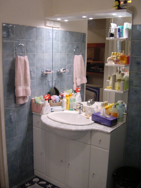 Vue sur le lavabo et le miroir de la salle de bain