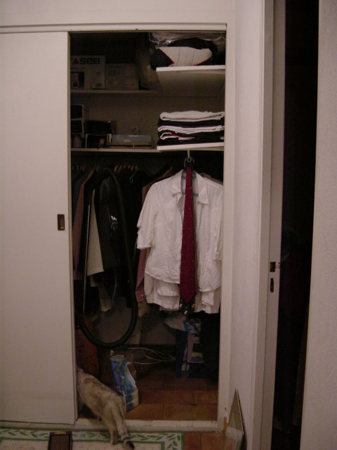 Chat entrant dans le dressing