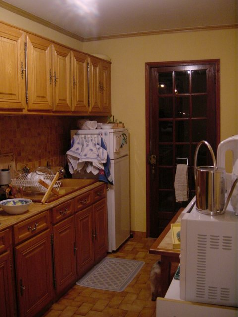 La cuisine: placards, evier, frigo, fenetre donnant sur le jardin, micro-onde