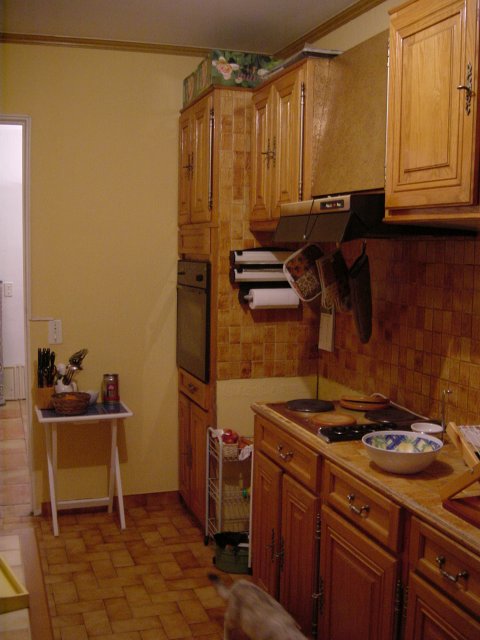 Vue du fond de la cuisine: plaques electriques, hotte, four (bout du chat --elle me suivait tout le long faut croire ;-)