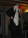 Grominet