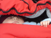 Gros plan de Thaiis qui dort paisiblement