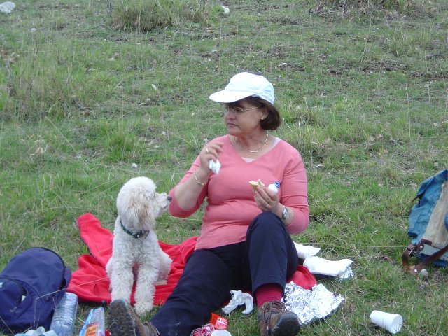 Annunziata regarde son chien Lucas