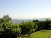 View from Daniel's