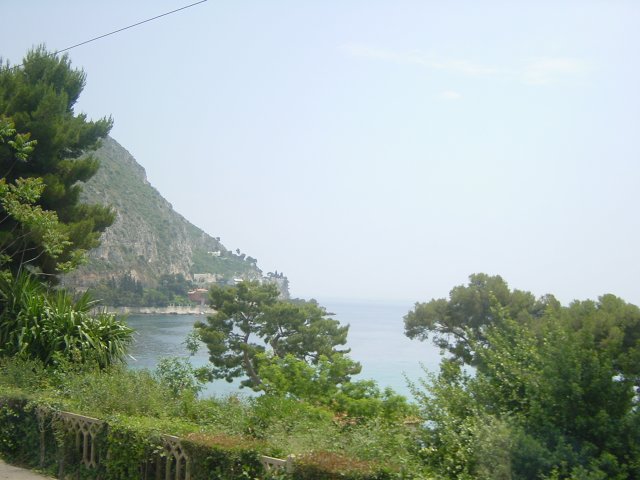 View from the train on a bay