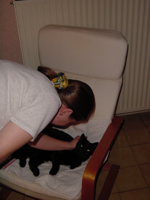 Fredo caressant Cleo(bis)