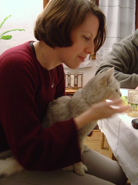 Isa apprivoise le chat installe' sur ses genoux