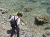 Nico montre des meduses a Olivier