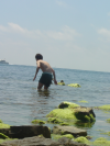 Guillaume avance prudemment dans l'eau