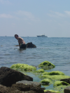 Guillaume dans l'eau