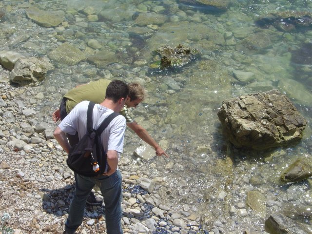 Nico montre des meduses a Olivier