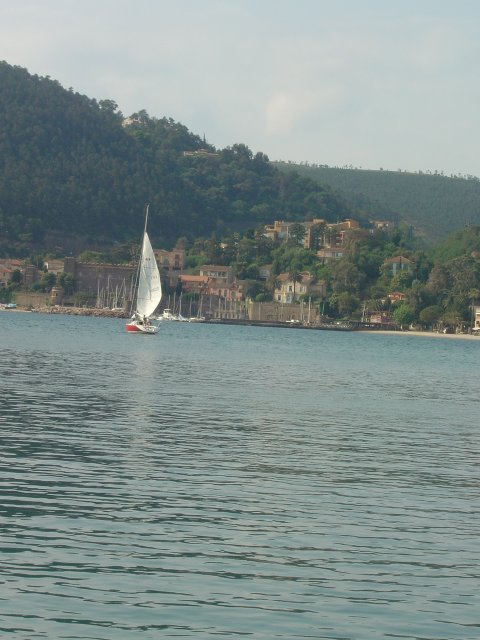 Voilier