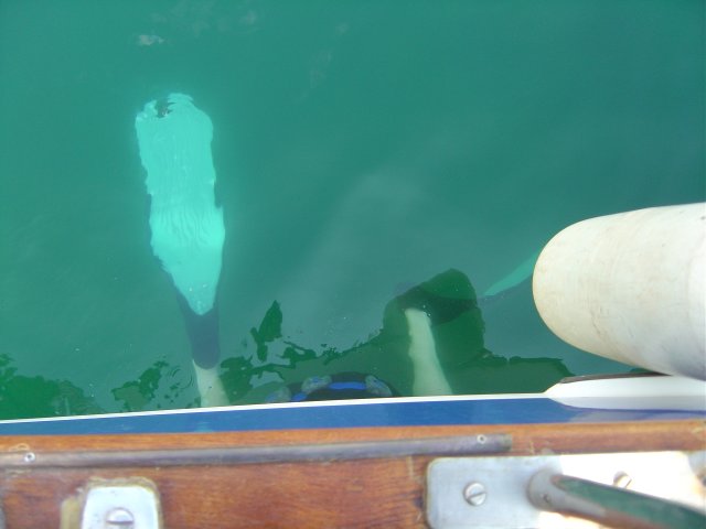 Daniel passe sous le bateau