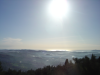 View from DD's