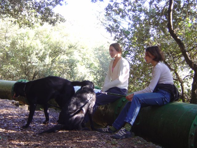 Laurie and Urgo, Alice and Unix seated on pipe