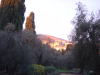 Grasse being at last touched by the setting sun