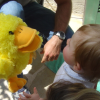 Hey a ducky!