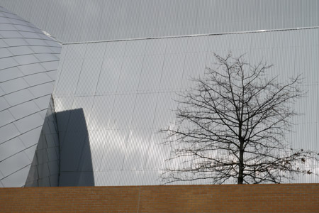 Stata detail, tree