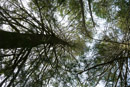 20100320202945