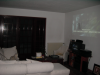 Emu watching a movie on the wall