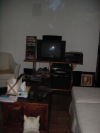 Emu on the couch watching the movie