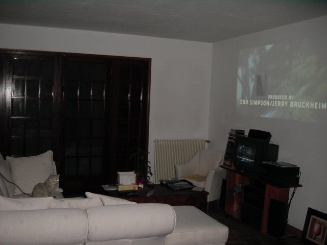 Emu watching a movie on the wall