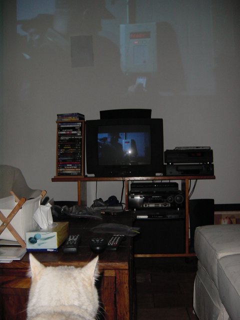 Emu on the couch watching the movie