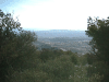 Vue