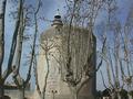 Tour Aigues Morte
