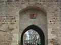 Sortie Aigues Morte