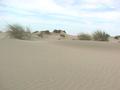 Plage, les dunes
