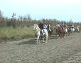 Une ballade à cheval