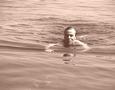 1-17_Nico_dans_l_eau.JPG (614x480)