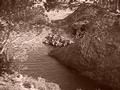 2-07_Crique_sepia.JPG (640x480)