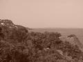 2-11_Vue_vers_Cannes_sepia.JPG (640x480)